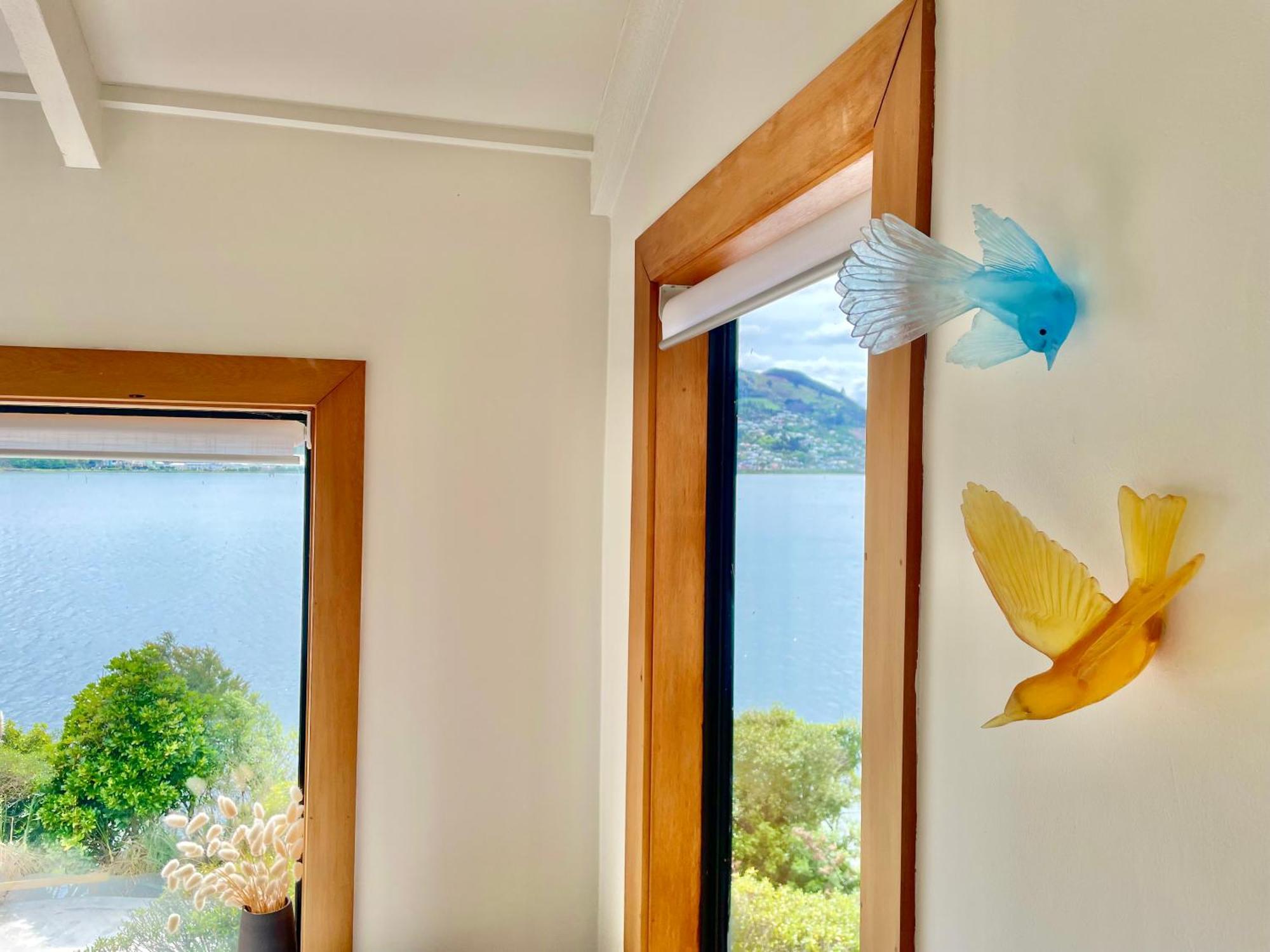 The Cove Cabin - Your Quiet Escape Dunedin Eksteriør billede