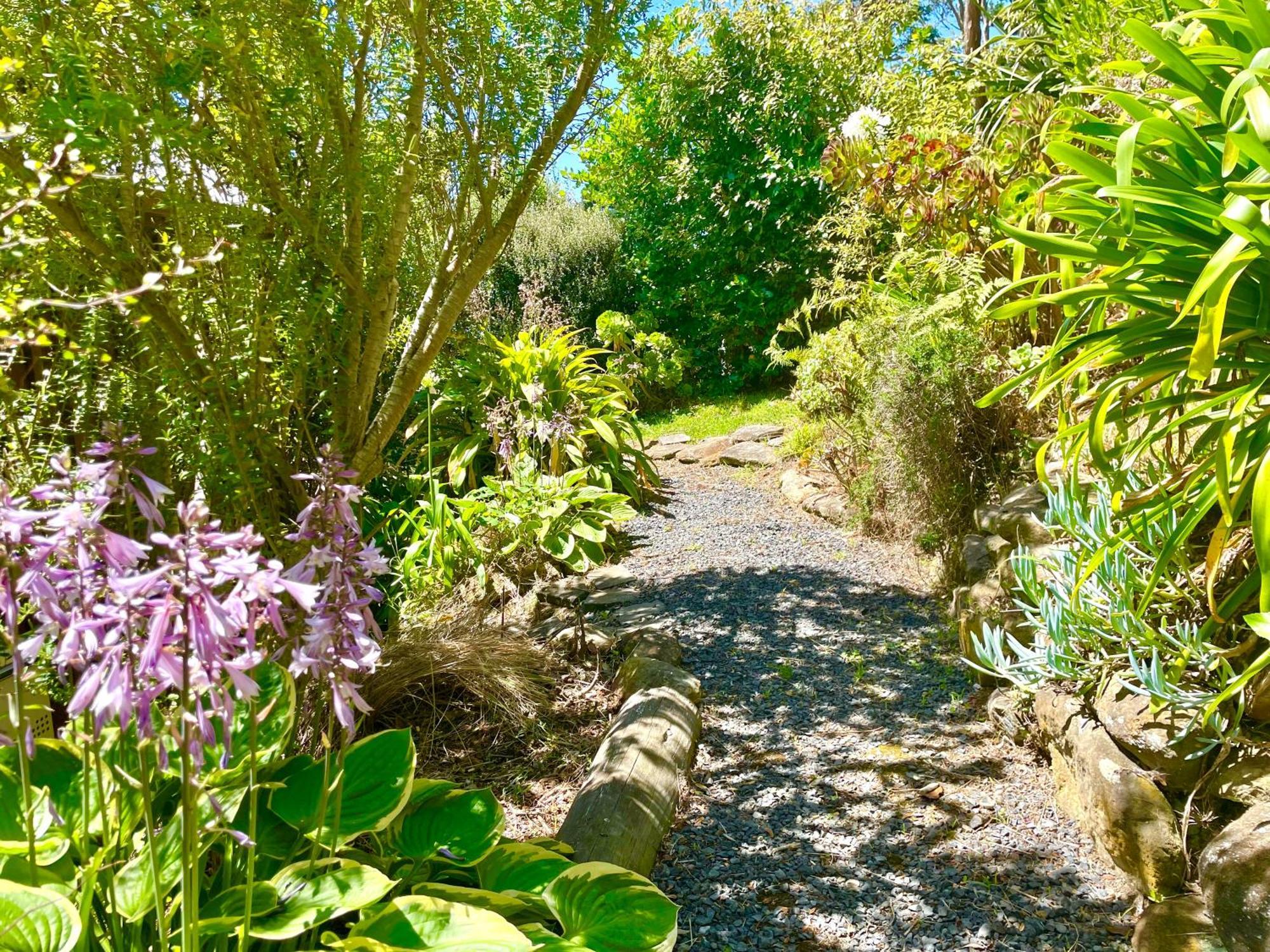 The Cove Cabin - Your Quiet Escape Dunedin Eksteriør billede