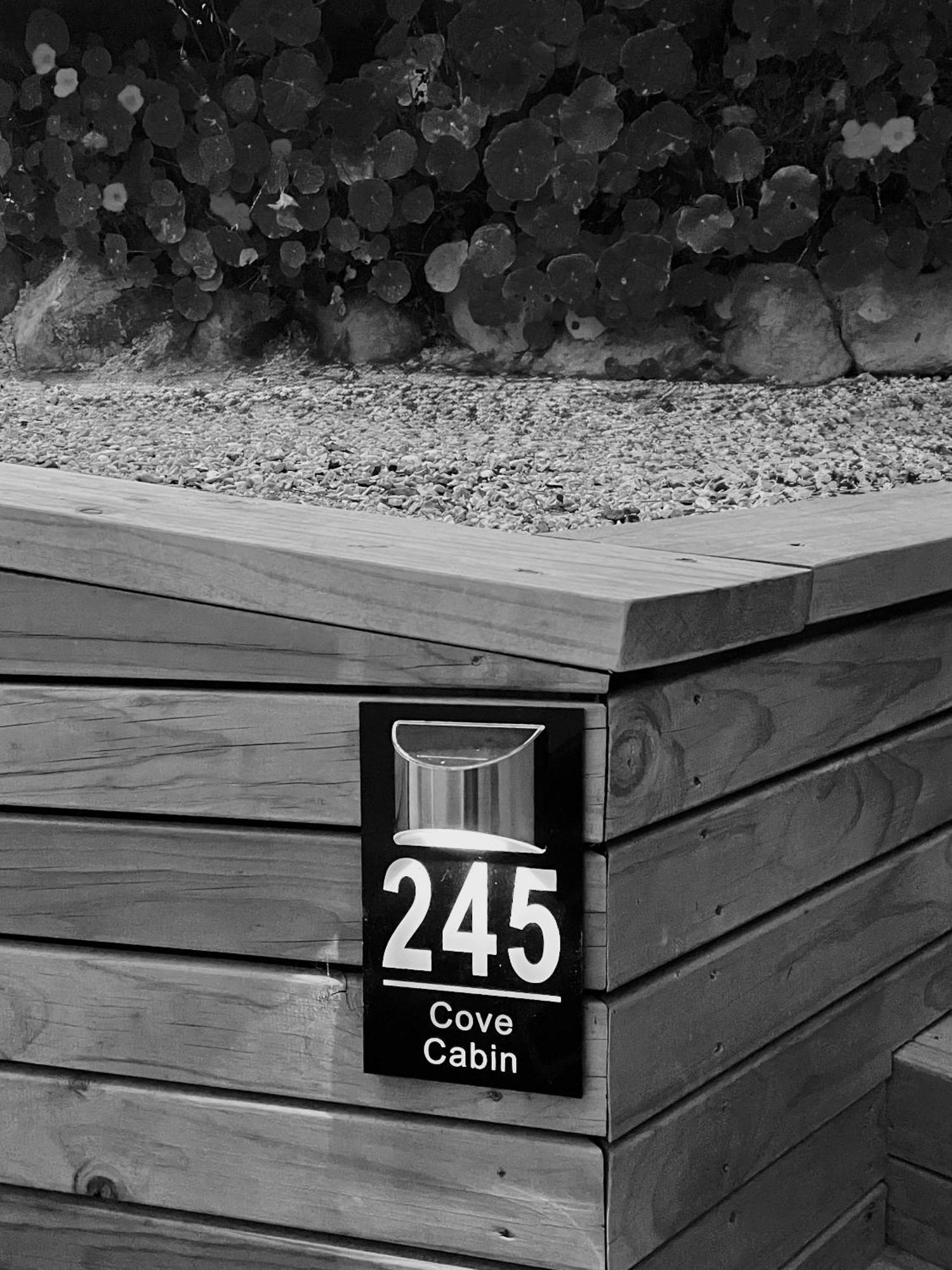The Cove Cabin - Your Quiet Escape Dunedin Eksteriør billede