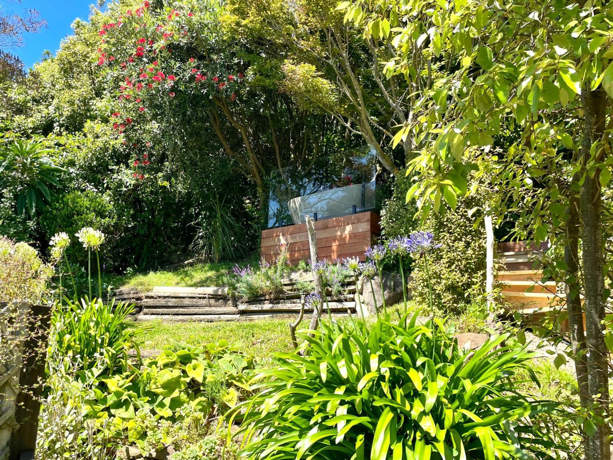 The Cove Cabin - Your Quiet Escape Dunedin Eksteriør billede