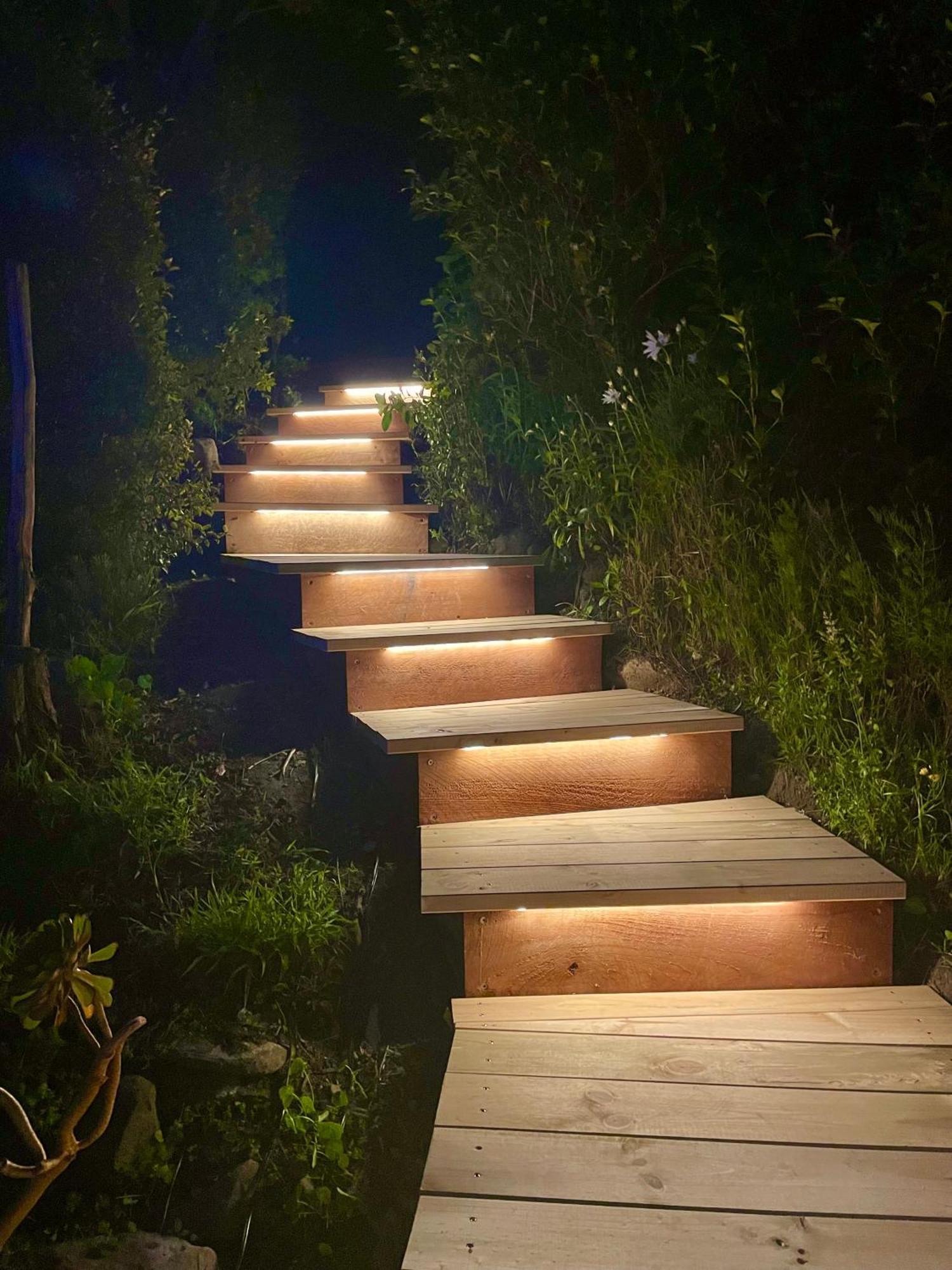 The Cove Cabin - Your Quiet Escape Dunedin Eksteriør billede