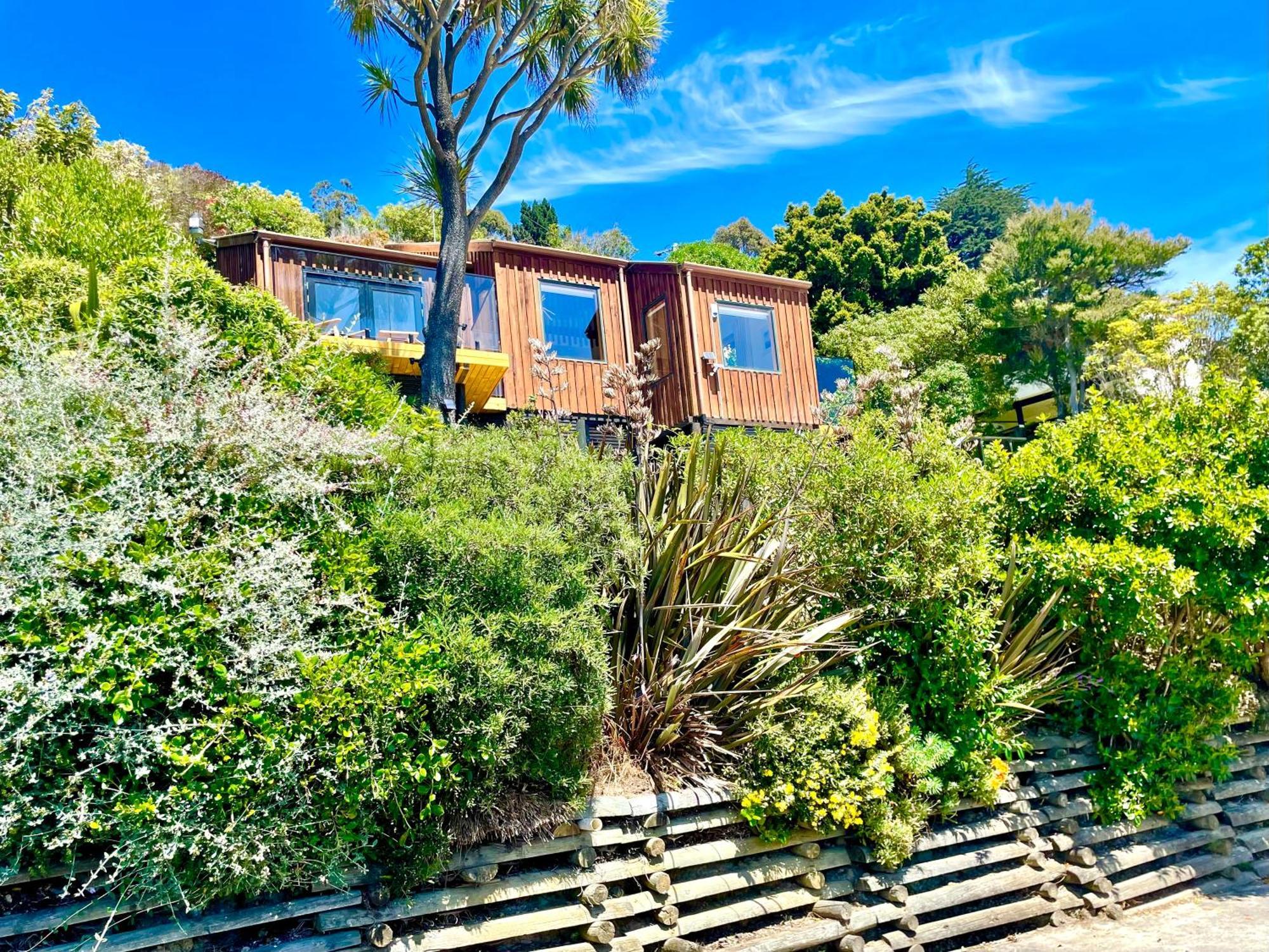 The Cove Cabin - Your Quiet Escape Dunedin Eksteriør billede